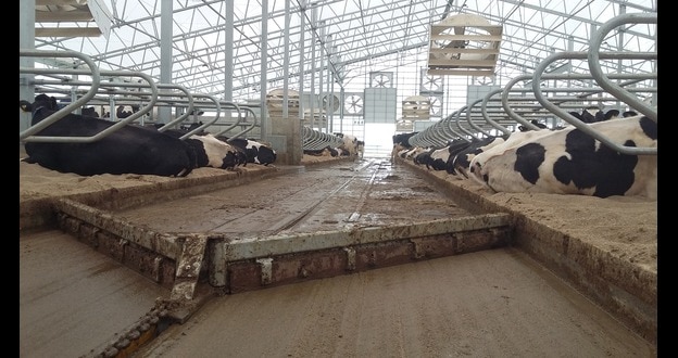 Barn Equipment